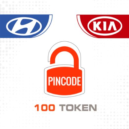 kia-hyundai-online-pincode-calculator-100-token