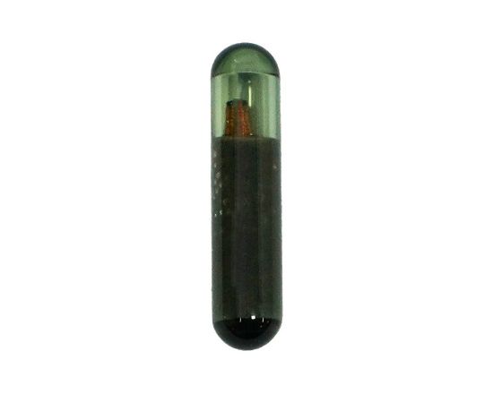 megamos-id48-transponder-chip-glass-type-for-brilliance