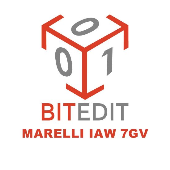 bitedit-module-marelli-iaw-7gv
