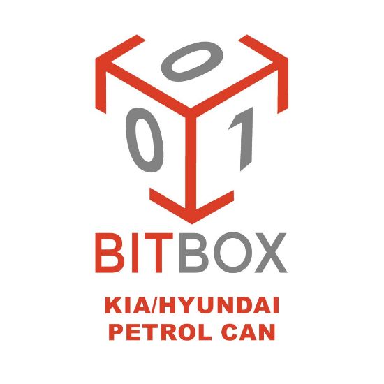 bitbox-kia-hyundai-petrol-can