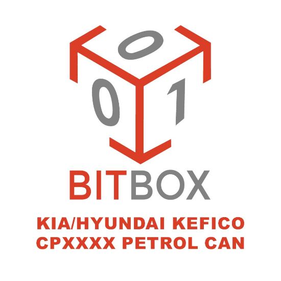 bitbox-kia-hyundai-kefico-cpxxxx-petrol-can