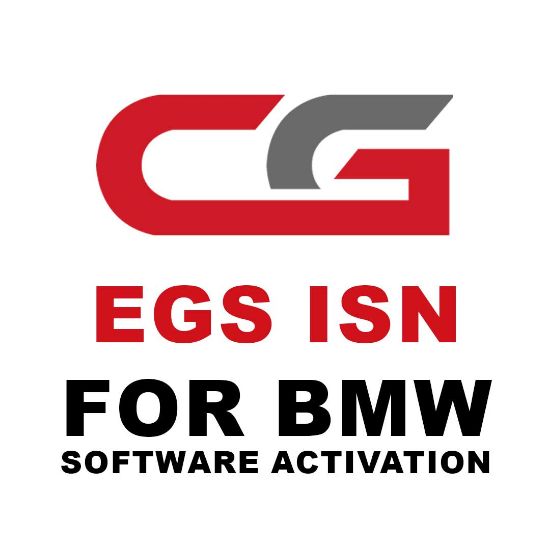 cgdi-a000000a-egs-isn-for-bmw-software-activation-
