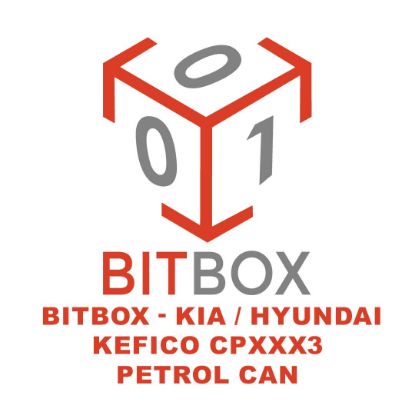 bitbox-kia-hyundai-kefico-cpxxx3-petrol-can