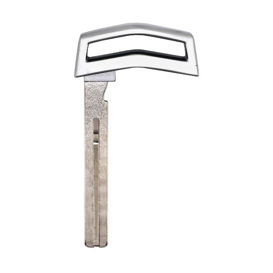 genesis-smart-remote-blade-81996-d2000