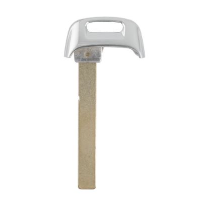 Audi 2022 Smart Remote Key Blade