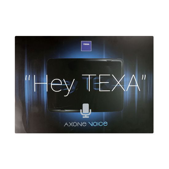 New Texa AXONE VOICE - EXTRA / D171X0 Is The First Hands-free Solution In The World Of Multi-brand And Multi-environment Diagnosis | Emirates Keys