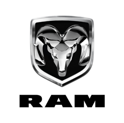 Picture for brand RAM