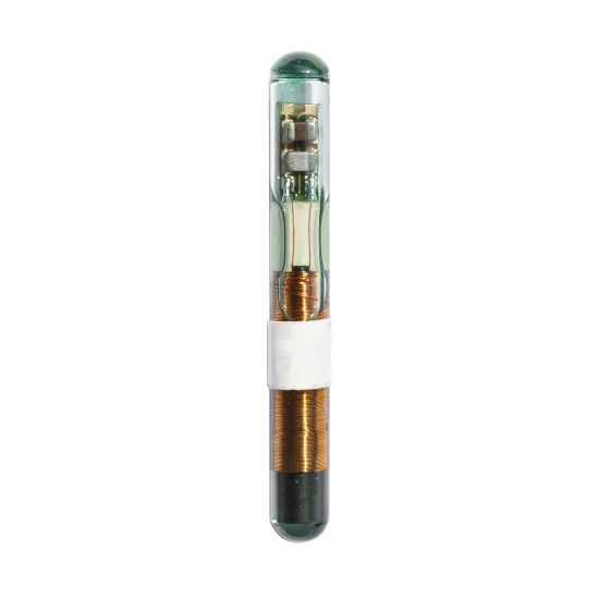 texas-ti-original-4c-glass-type-big-transponder-chip